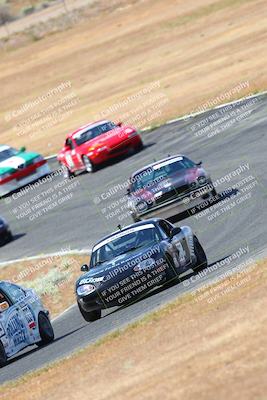 media/May-06-2023-Lucky Dog Racing (Sat) [[8f2256f436]]/Turn 2 10a/